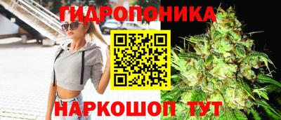 гидра Абинск