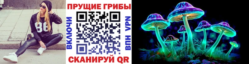 дарк нет клад  Куйбышев  Галлюциногенные грибы Magic Shrooms  даркнет сайт 