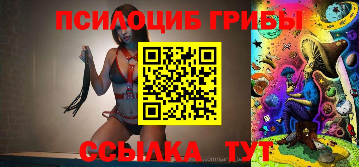 Псилоцибиновые грибы Cubensis Куйбышев