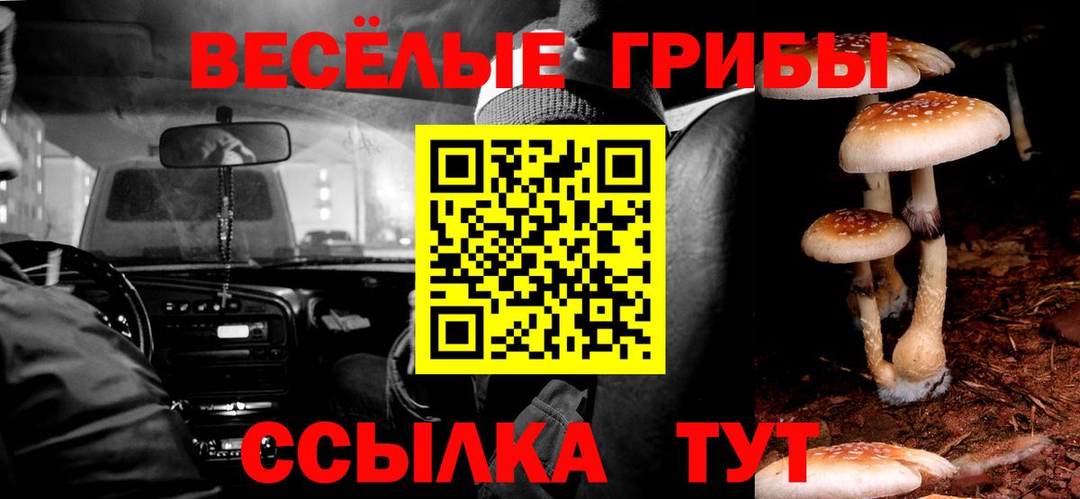 Галлюциногенные грибы ЛСД  Куйбышев 