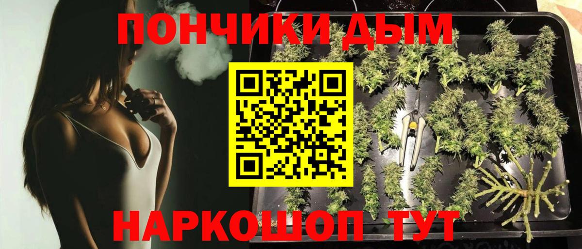 Канабис планчик Куйбышев